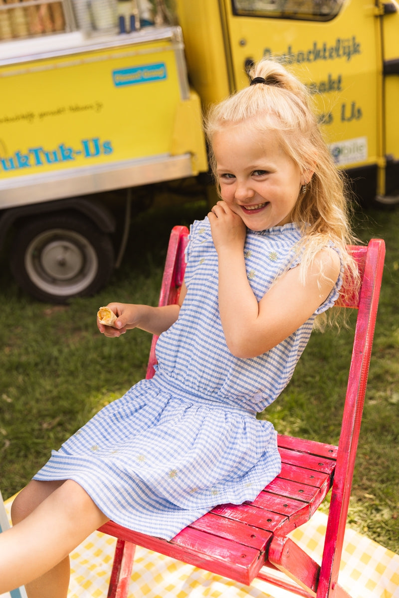 Shirt Blauw | AOP Blue Check