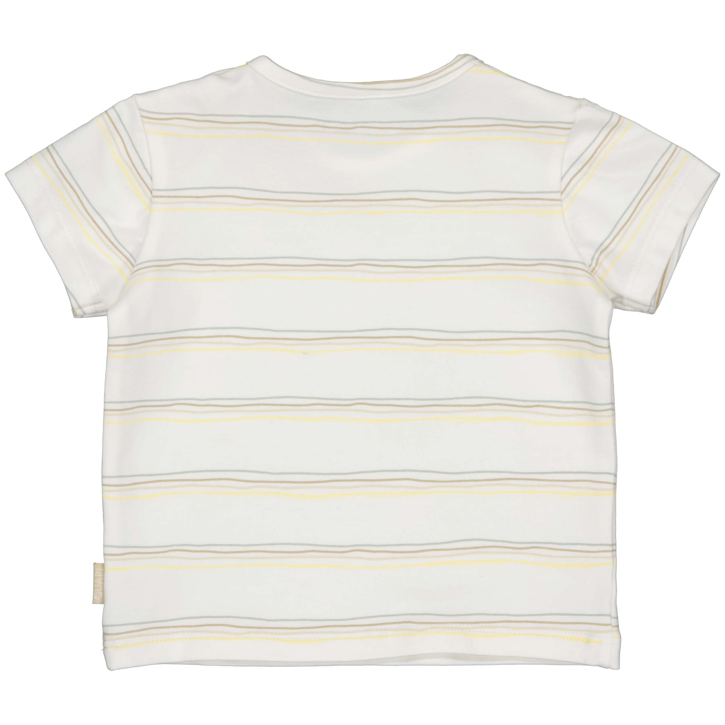 SHORTSLEEVE | AOP Multi Stripe