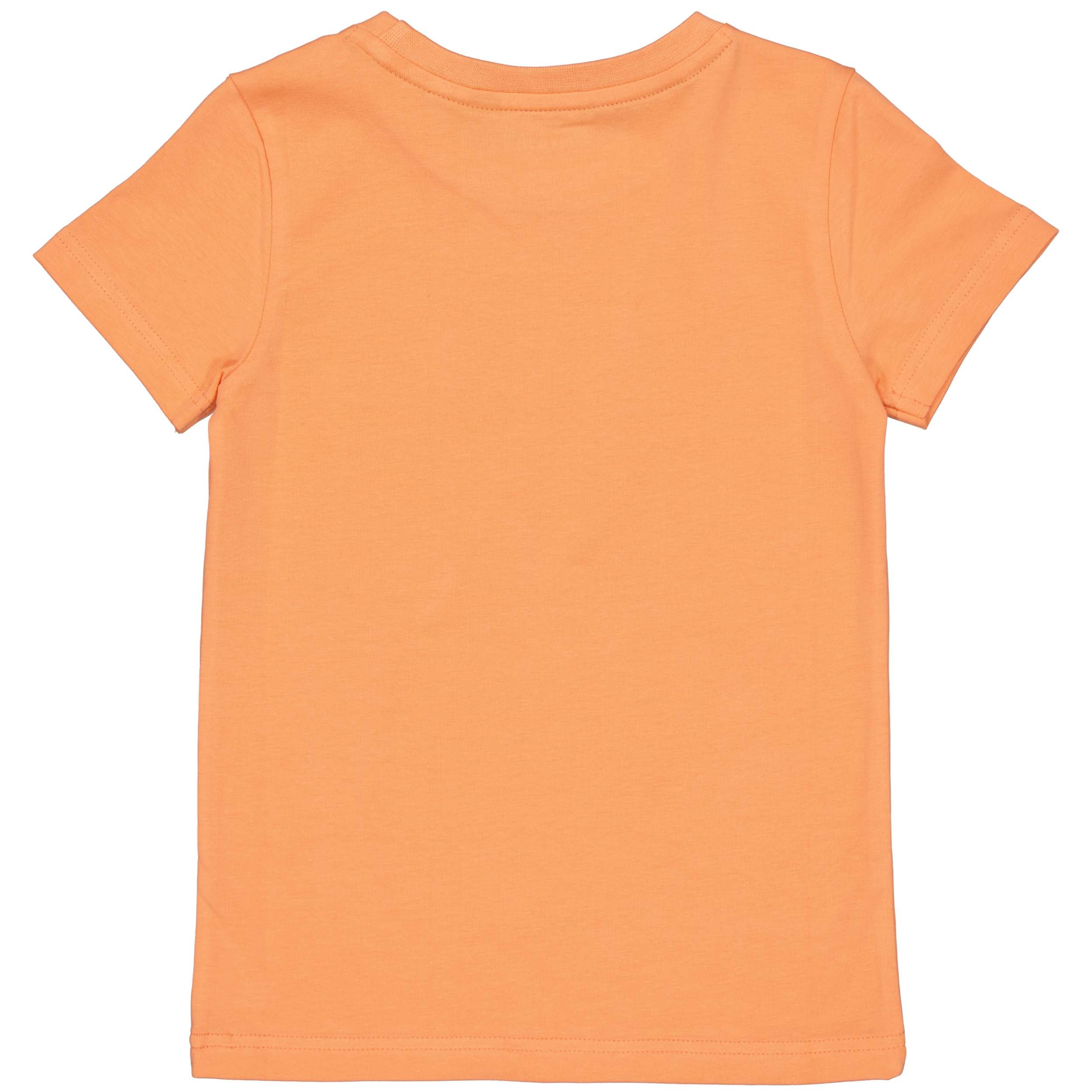 SHORTSLEEV | Orange