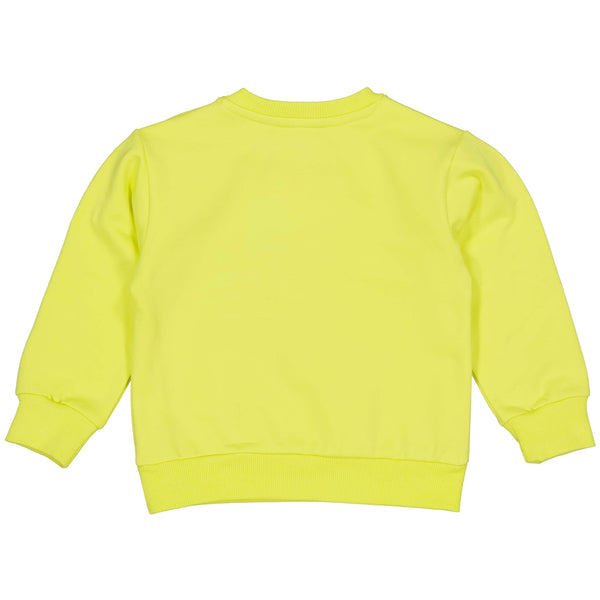 SWEATERS | Yellow green