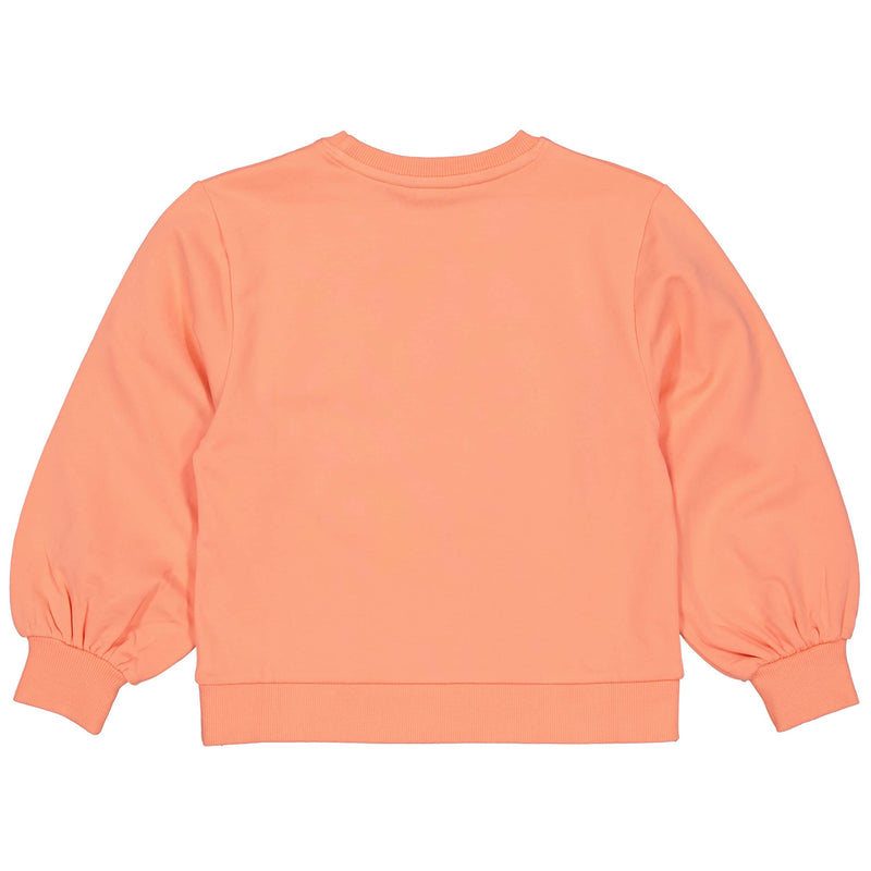 SWEATER | Coral